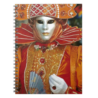 Silver Kabuku Mask Notitieboek