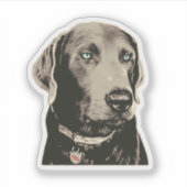 Silver Lab 100% Labrador Sticker (Voorkant)