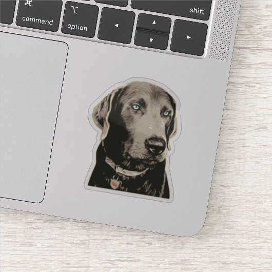Silver Lab 100% Labrador Sticker (Detail)