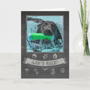 Silver Lab Chalkboard Verjaardag Kaart
