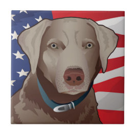 Silver Lab Retriever of America Tegeltje