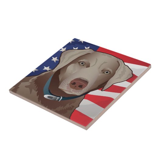 Silver Lab Retriever of America Tegeltje (Zijkant)