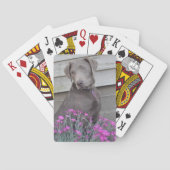 Silver Labradors Pokerkaarten (Achterkant)