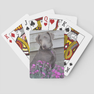 Silver Labradors Pokerkaarten