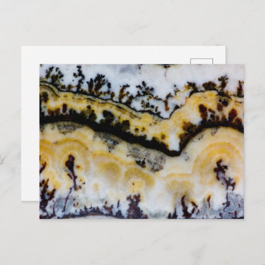 Silver Lace Onyx Briefkaart (Voorkant / Achterkant)