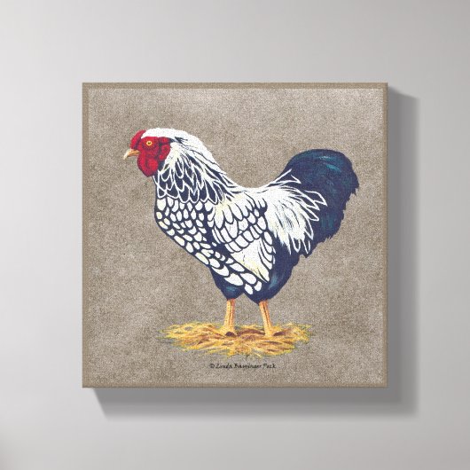 Silver Laced Wyandotte Rooster Canvas Afdruk (Voorkant)