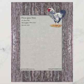 Silver Laced Wyandotte Rooster Custom Briefhoofd