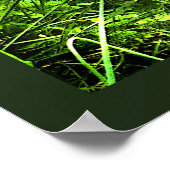 Silver Laced Wyandotte Rooster Green Animal Poster (Hoek)