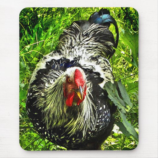 Silver Laced Wyandotte Rooster in Green Mousepad Muismat (Voorkant)