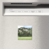 Silver Lake Magneet (Insitu (Vaatwasser))