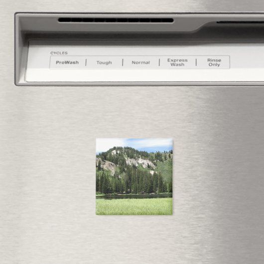 Silver Lake Magneet (Insitu (Vaatwasser))