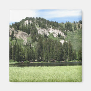 Silver Lake Magneet