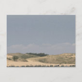 Silver Lake, Michigan Briefkaart (Voorkant)