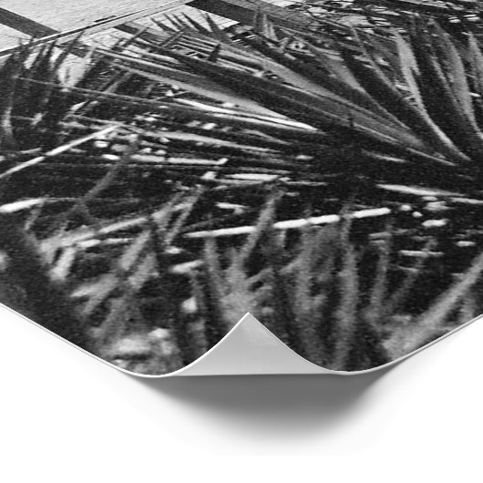 Silver Lake: Ocracoke, NC Poster (Hoek)