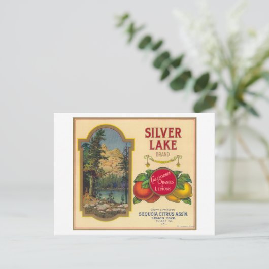 Silver Lake Oranje LabelLemon Cove, CA Briefkaart (Staand voorkant)