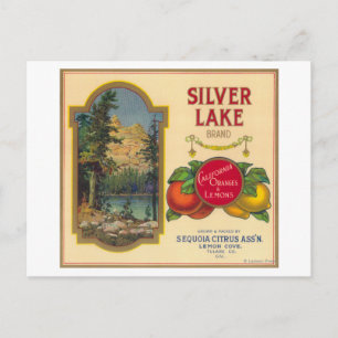 Silver Lake Oranje LabelLemon Cove, CA Briefkaart