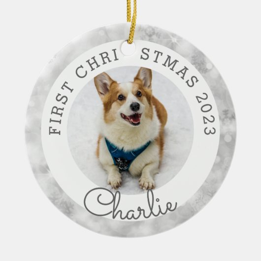Silver Lights Pet's eerste kerstfoto Keramisch Ornament (Voorkant)