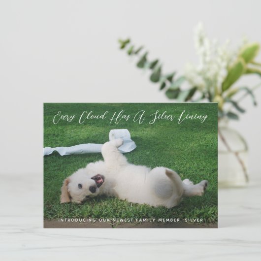 Silver Lining Photo Pet Adoption Aankondiging (Staand voorkant)