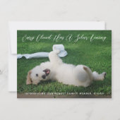 Silver Lining Photo Pet Adoption Aankondiging (Voorkant)