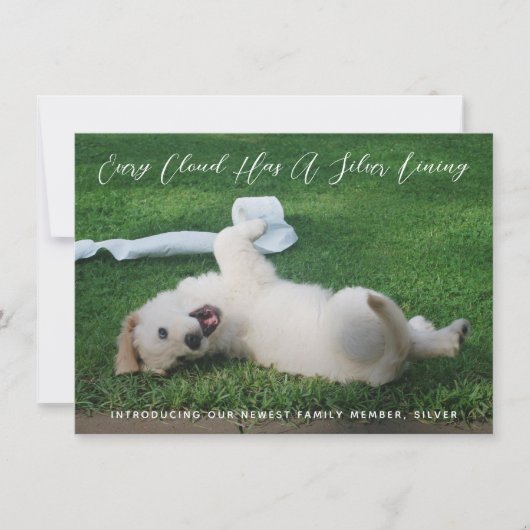 Silver Lining Photo Pet Adoption Aankondiging (Voorkant)