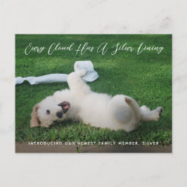 Silver Lining Photo Pet Adoption Announcement Aankondigingskaart