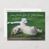Silver Lining Photo Pet Adoption Announcement Aankondigingskaart (Voorkant / Achterkant)