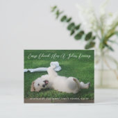 Silver Lining Photo Pet Adoption Announcement Aankondigingskaart (Staand voorkant)