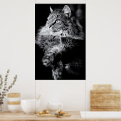 Silver Long Hair Tablet Cat Poster (Keuken)