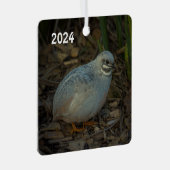 Silver Male Button Kwartel in het gras Metalen Ornament (Voorkant Rechts)