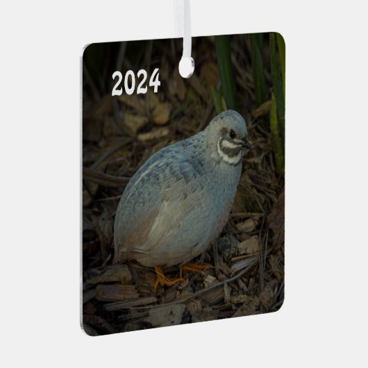 Silver Male Button Kwartel in het gras Metalen Ornament (Voorkant Rechts)