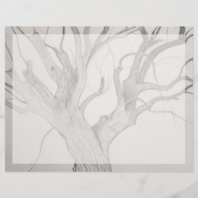 Silver Maple (Voorkant)