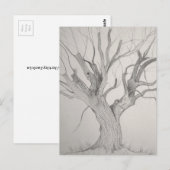 Silver Maple briefkaart (Voorkant / Achterkant)