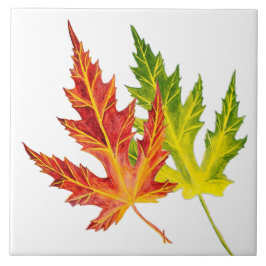 Silver Maple op een keramische Tegel Tegeltje