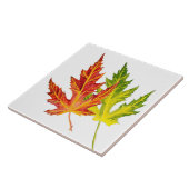 Silver Maple op een keramische Tegel Tegeltje (Zijkant)