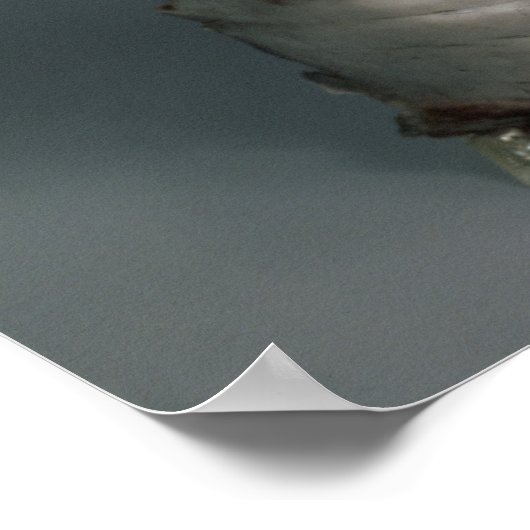 Silver mask, Roman, 1e helft van 3e eeuw AD (si Poster (Hoek)