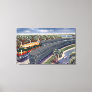 Silver Meteors "Seaboard" in Florida Highlands Canvas Afdruk