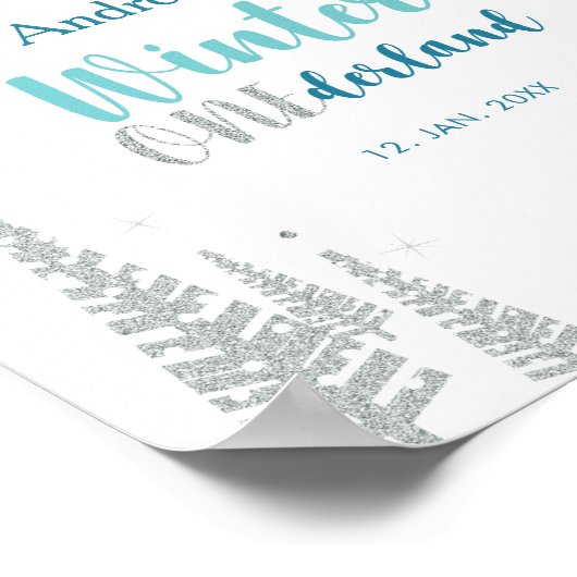 Silver Mint Winter Boy Birthday Party Welcome Sign Poster (Hoek)