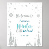 Silver Mint Winter Boy Birthday Party Welcome Sign Poster (Voorkant)