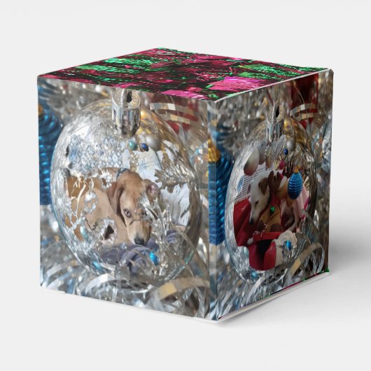 Silver Ornaments 4 Photo Favor Box Bedankdoosjes (Achterkant)