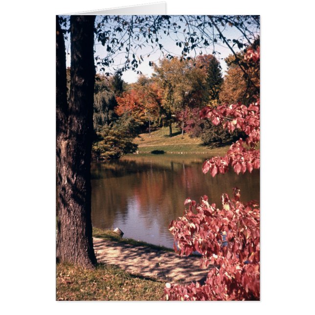 Silver Park in de Herfst (Voorkant)