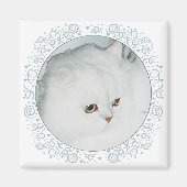Silver Persian Cat Head Studie Magneet (Voorkant)