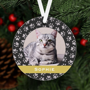 Silver Pet Paw drukt Gold Custom Cat Name Foto Ornament