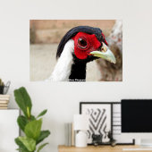 Silver Pheasants Poster (Thuiskantoor)