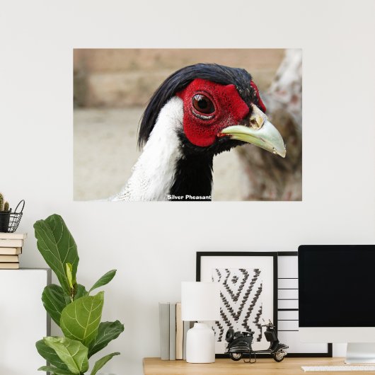 Silver Pheasants Poster (Thuiskantoor)