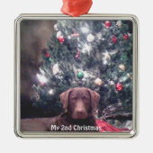 Silver Puppy Mijn 2e Kerstmis Foto Ornamenten (Voorkant)