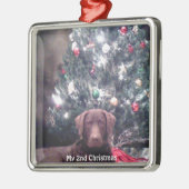 Silver Puppy Mijn 2e Kerstmis Foto Ornamenten (Links)