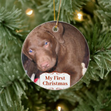 Silver Puppy My First kerstfoto Ornamenten