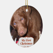 Silver Puppy My First kerstfoto Ornamenten (Rechts)