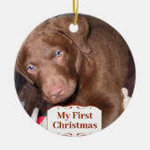 Silver Puppy My First kerstfoto Ornamenten (Voorkant)