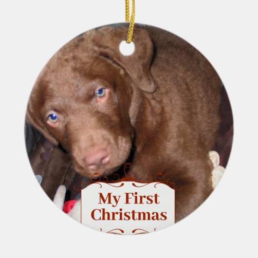 Silver Puppy My First kerstfoto Ornamenten (Voorkant)